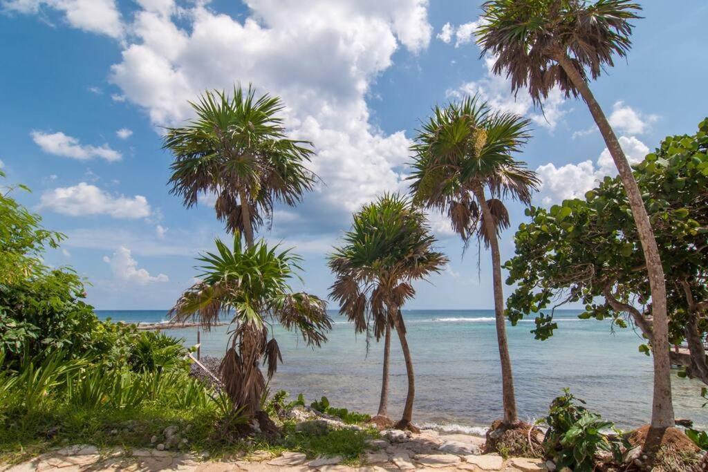 Ground Level Garden Condo At Akumal South By Tao Santamar Exteriör bild
