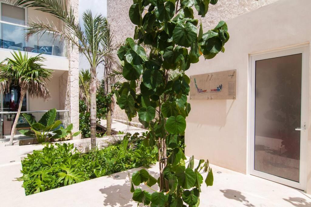 Ground Level Garden Condo At Akumal South By Tao Santamar Exteriör bild